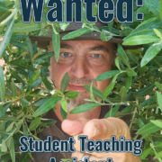 Wanted: Student Teaching Assistant