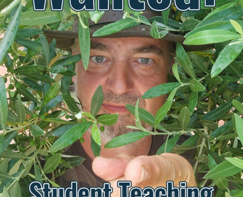 Wanted: Student Teaching Assistant