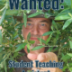 Wanted: Student Teaching Assistant